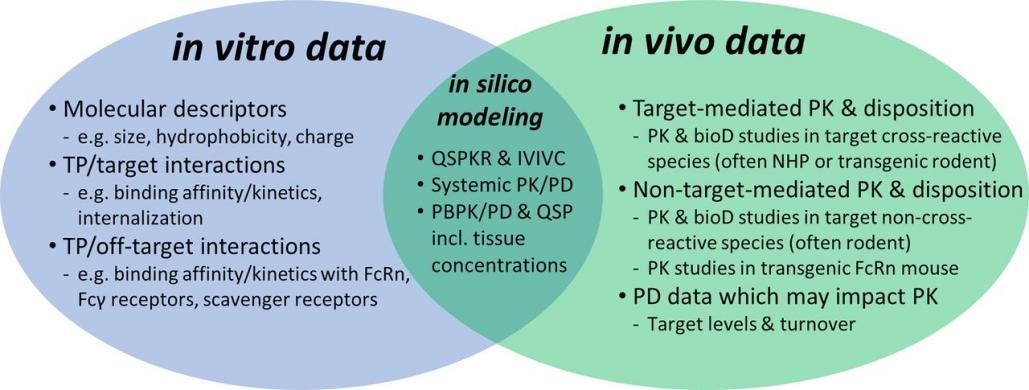 Fig. 1 Key in vitro/vivo data to characterize the pharmacokinetic of protein.